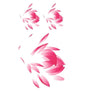 THE 3 PINK LOTUS - tattoo star